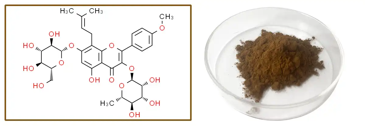 Epimedium Extract Suppier.jpg Epimedium Extract Suppier.jpg